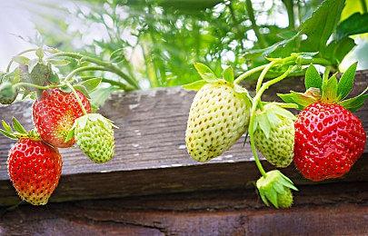 《服装店模拟》Steam页面上线 6月发售